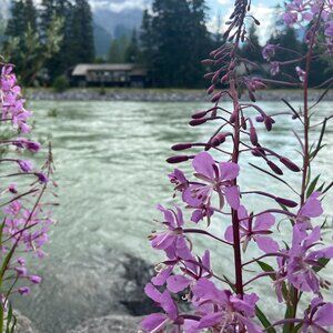 Meet your Posher, Anita